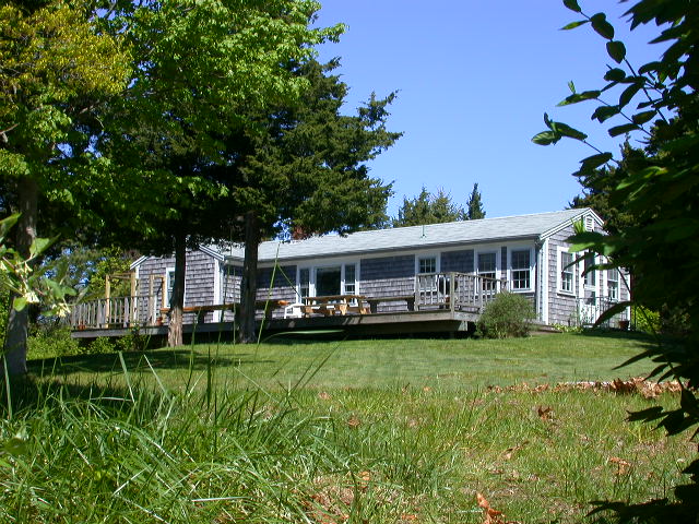 Cove Back View.JPG - 142858 Bytes